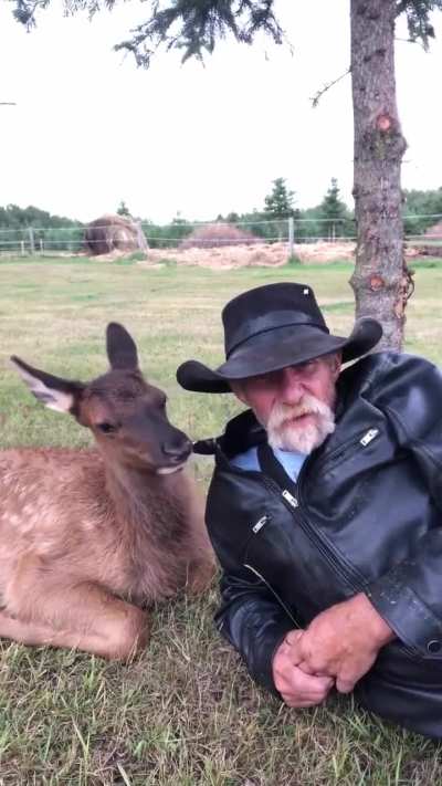 om nom nom yummy pleather