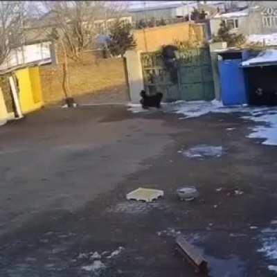 Просто встал, не стой ноги