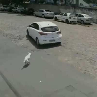 Khada hun aaj bhi vahin