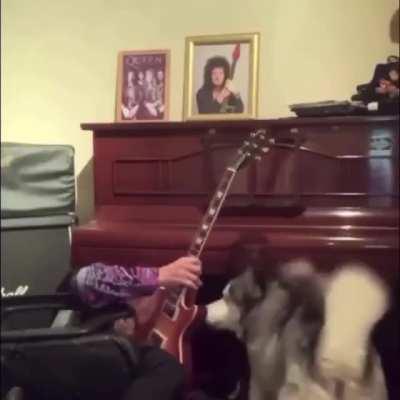 WCGW trying to play guitar on webcam