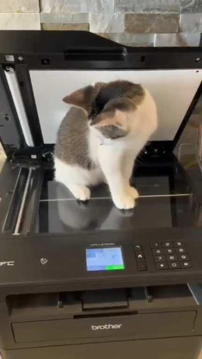 He's being fingerprinted for criminal processing.