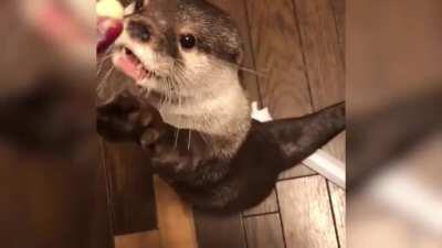 You're not you when you're hungry