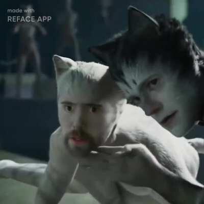 Asmon-furry-gold confirmed