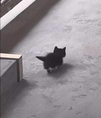 Microscopic stalking the little one