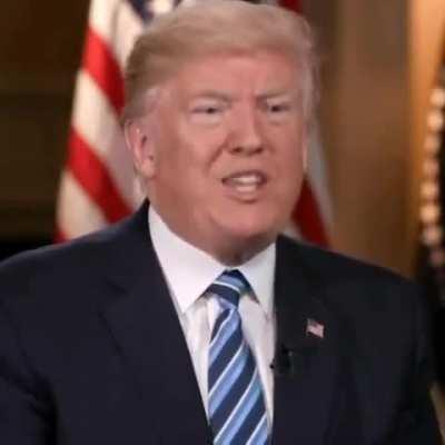 Trump reviews my Pizza