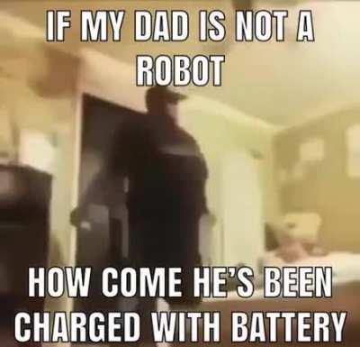 so a shrimp fried this rice?