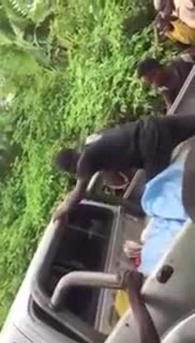 Newton is crying in the corner