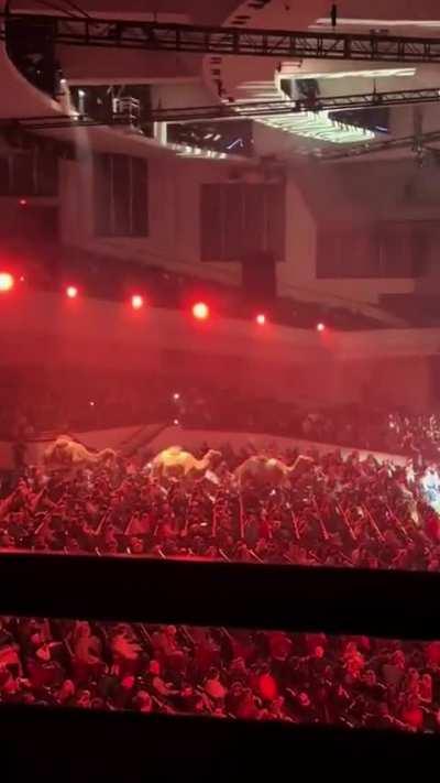 Exactly what Jesus would have wanted🤦