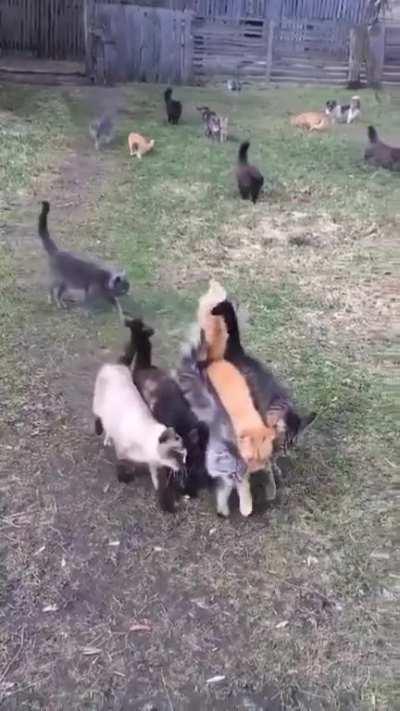 Find something you like and then get one in every color