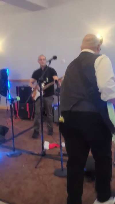 I did a cover of All The Small Things at a party.