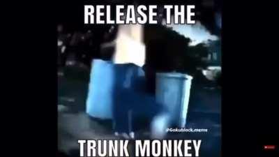 Trunk Monkey