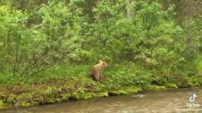 Almost became a victim