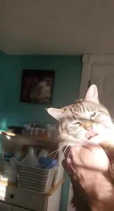 Nimbus is a screamy drama queen