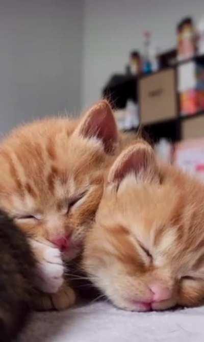 Brain Cells In Low Power Mode