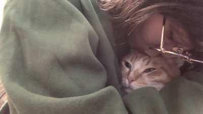 ntbdbiwdf my patient cat who doesn’t get annoyed when I kiss her for emotional support