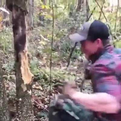 Madison Cawthorn (idiot) fight a tree