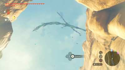 Link sees a rare sight