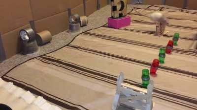 Lattes Awesome Agility Course!