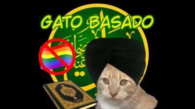 Gato do catar.