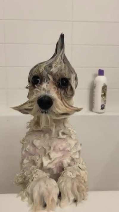 Mother, why have you forsaken me