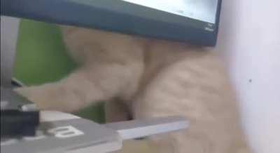 So to say, work for nothing 😃👉