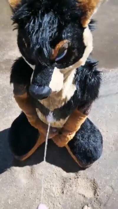 And people wonder why we are disgusted by furries