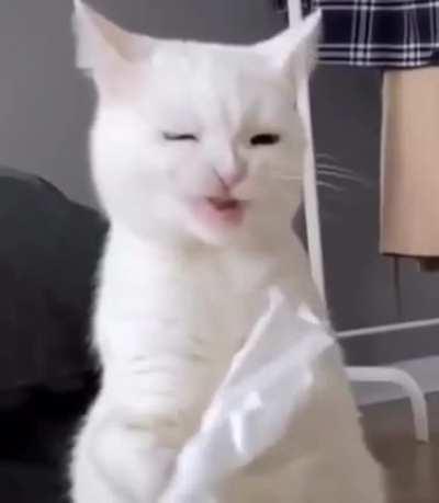 Itâs a scrunge in motion