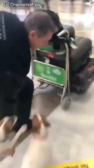 Неподдельная радость