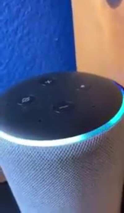 OrochiLive - Video #8798