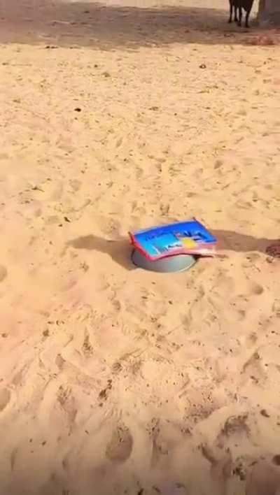 That bonk at the end though! 