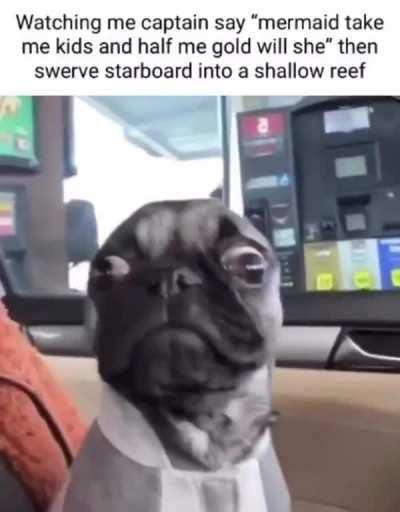 Arrr, where be a scurvy dog findin' a loyal lass?