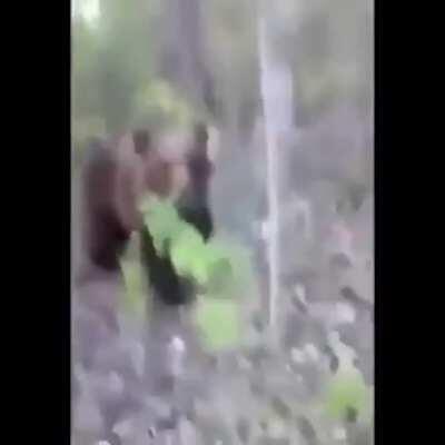 idiot kicks a bear