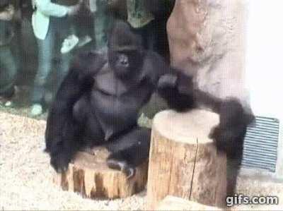 To all the dad apes! Happy (early) Father’s Day! Take the weekend off and we’ll see you on Monday!