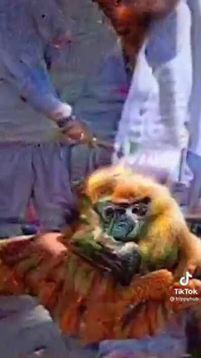 A visão está em dia.