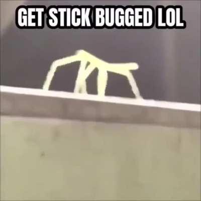 The hidden secret in the Gamecube logo.