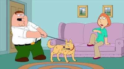 My spin on a dingo named Bingo