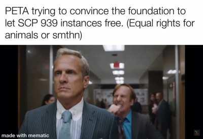 Stop animal suffering