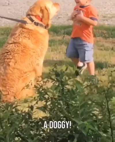 He is so happy seeing the dog