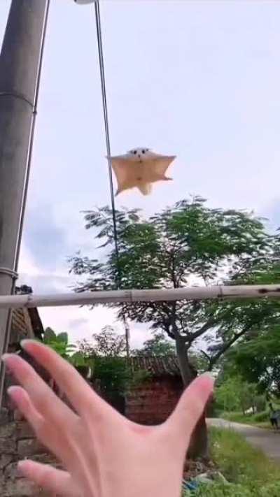 I will always trust you 😃