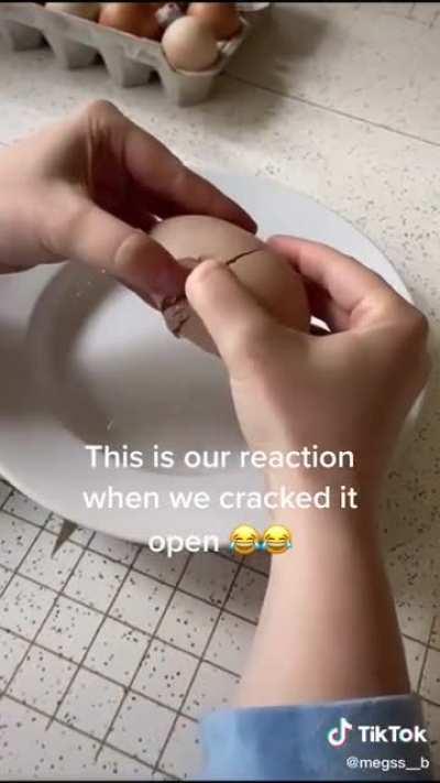 The egg came first !? 😲