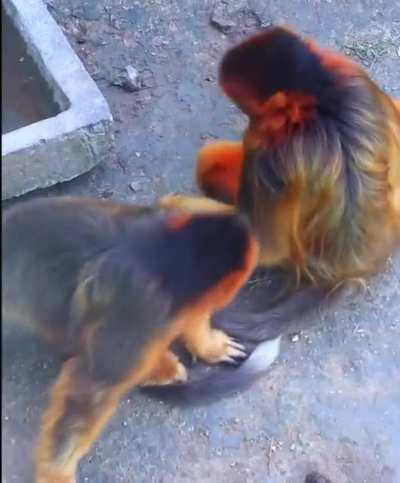 Sometimes all you need is a hug..