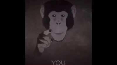 When I find new dlc as Kirby online