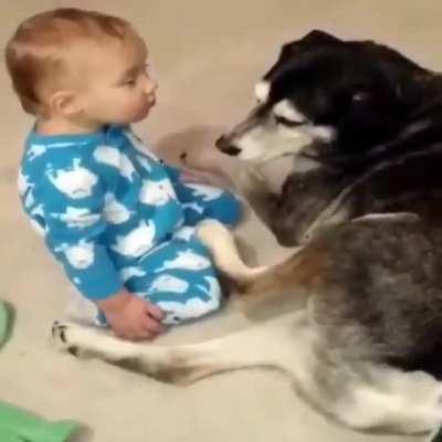 Sleepy baby finds a pillow...