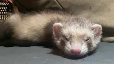 Shhh, pls scroll quietly- the baby is sleeping