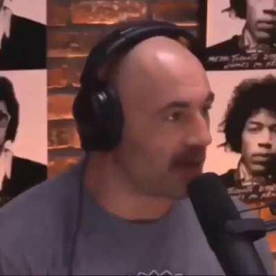 Chimpanzees go fucking insane