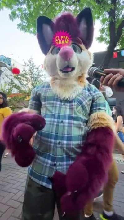 Necesitamos un Ministerio de Furros