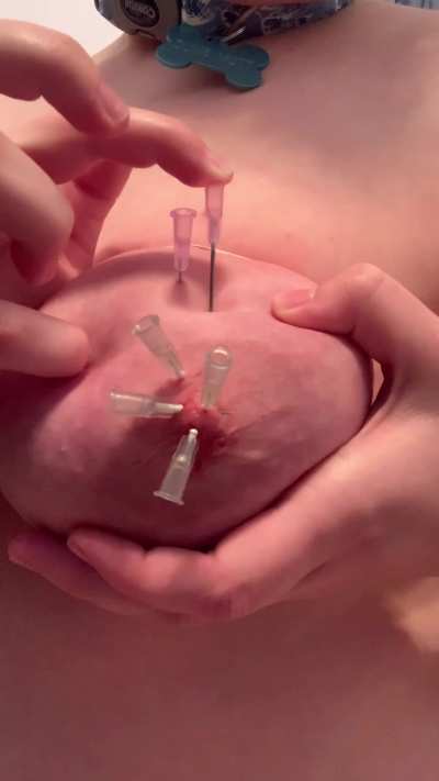 i like tormenting them.