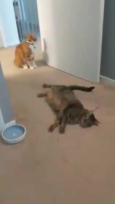 The oscar for best acting