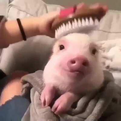 This is much better than anime