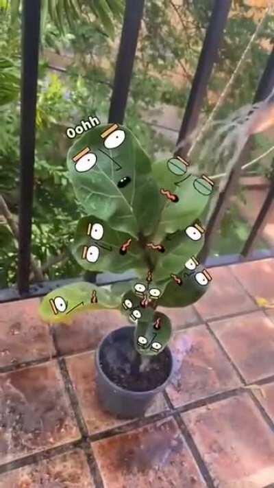 HydroHomies every 2 seconds (not OC)